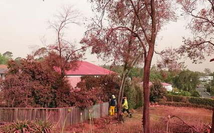 微信圖片_20220308101939