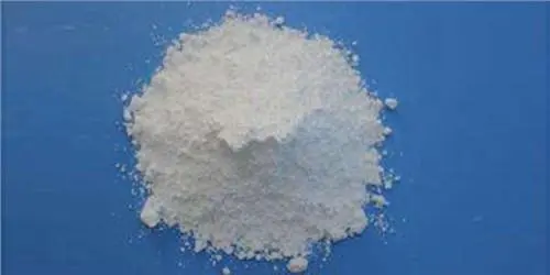 微信圖片_20220315162432 微信圖片_20220315162432